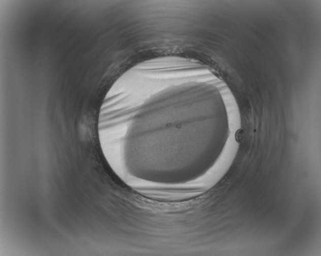 X0000063480035200602101818