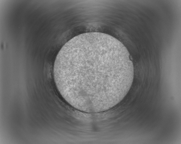 X0000063480038200602101818