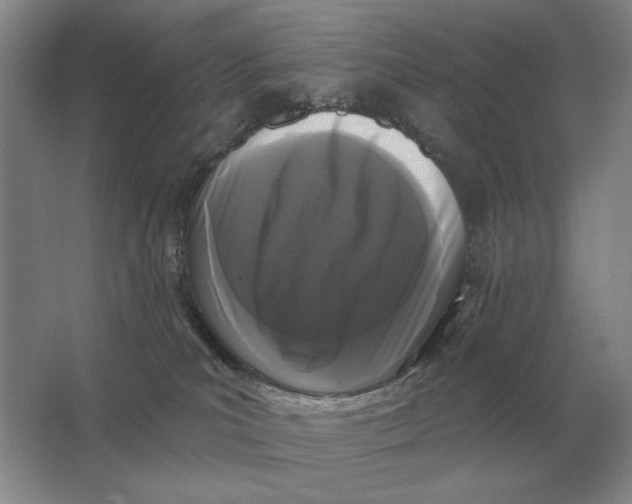 X0000063480039200602101818