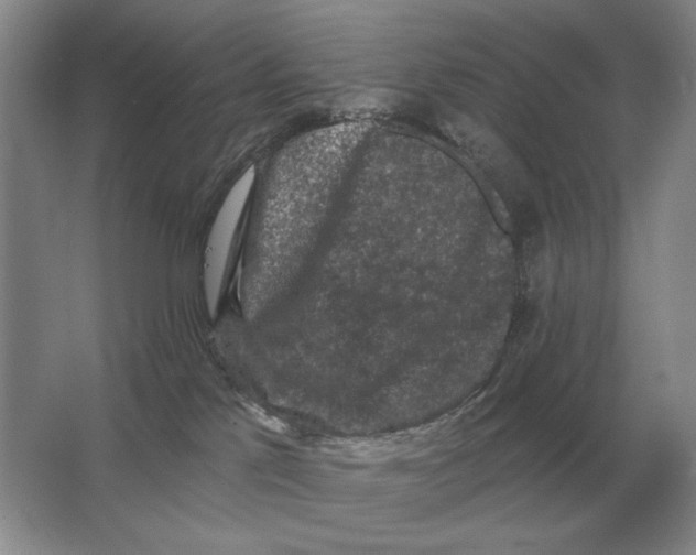 X0000063480041200602101818
