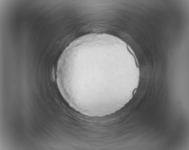 X0000063480046200602101818