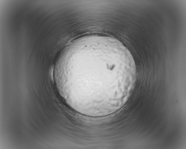 X0000063480047200602101818