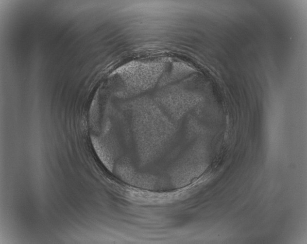 X0000063480048200602101818