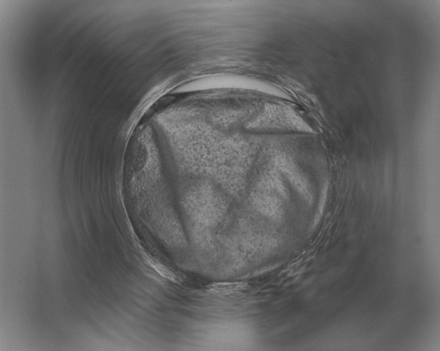X0000063480051200602101817