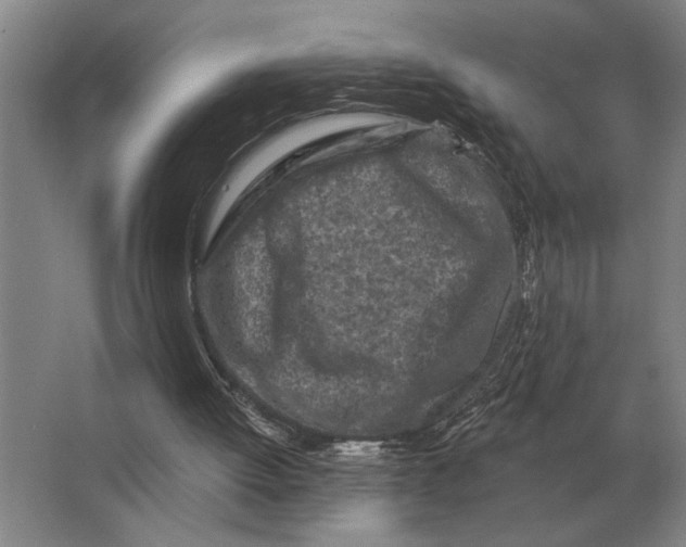 X0000063480052200602101817