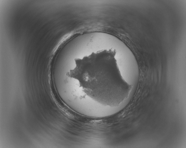 X0000063480054200602101817