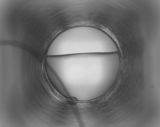 X0000063480057200602101817