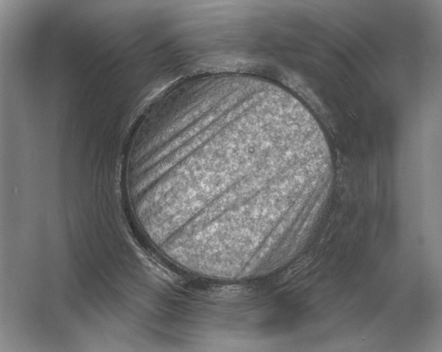 X0000063480058200602101817