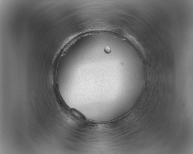 X0000063480060200602101817