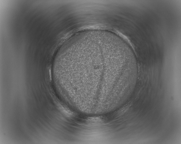 X0000063480061200602101817