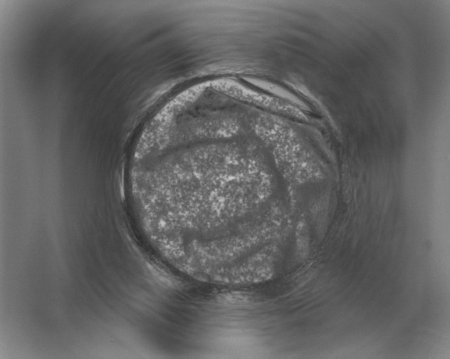 X0000063480062200602101817