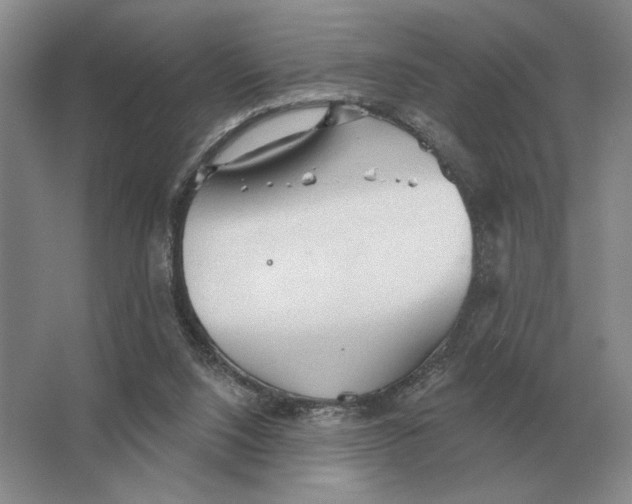 X0000063480064200602101817