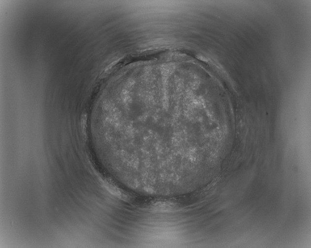 X0000063480066200602101817