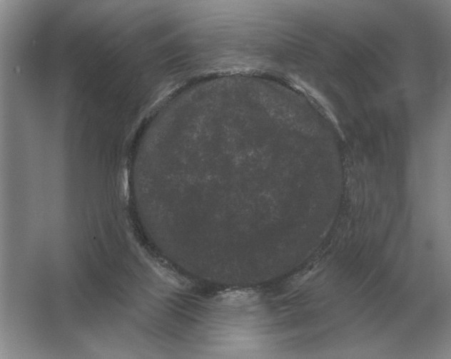 X0000063480067200602101817