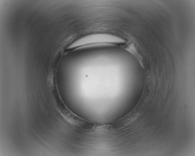 X0000063480072200602101817