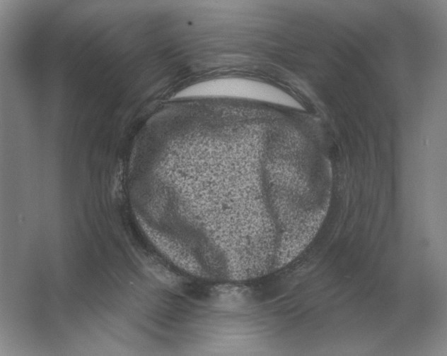X0000063480073200602101817