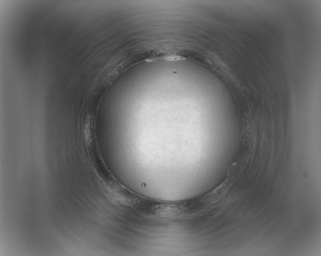 X0000063480074200602101817