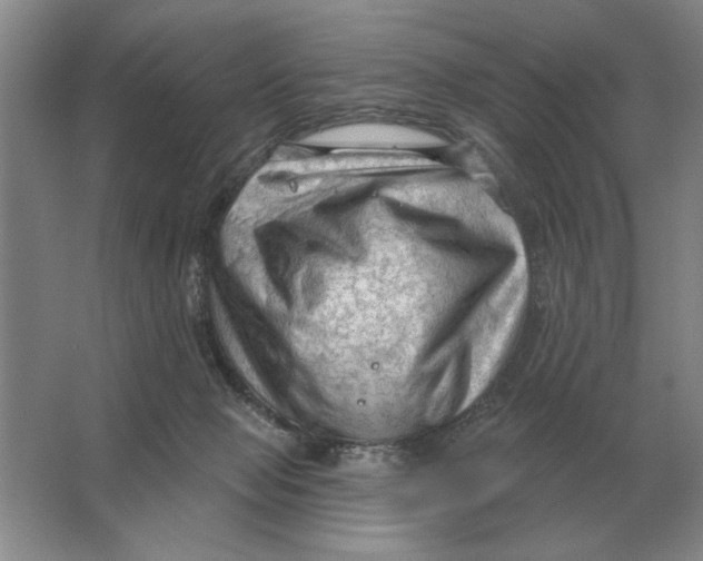 X0000063480077200602101817