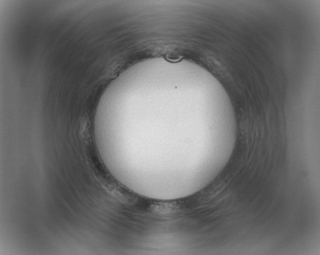 X0000063480079200602101817