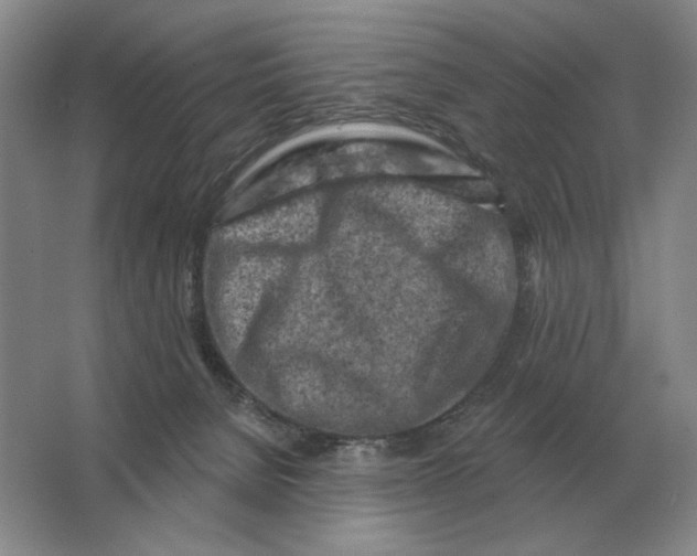 X0000063480080200602101817