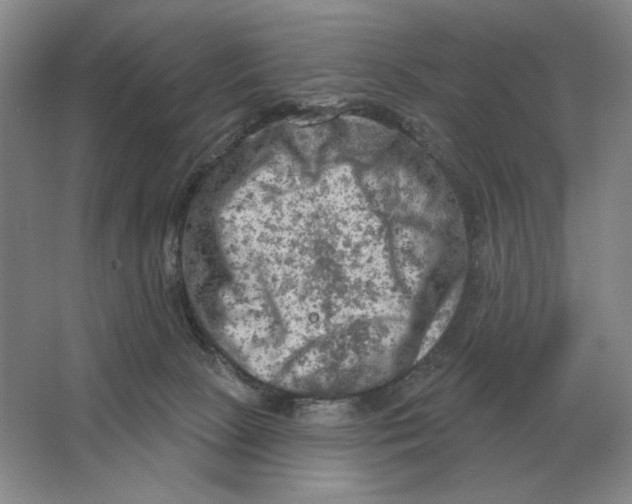 X0000063480081200602101817