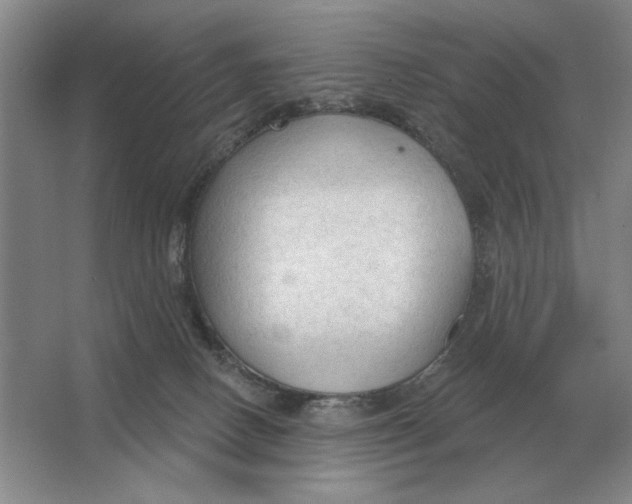 X0000063480082200602101817