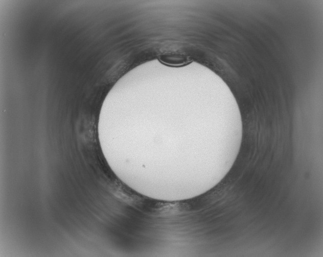 X0000063480083200602101817