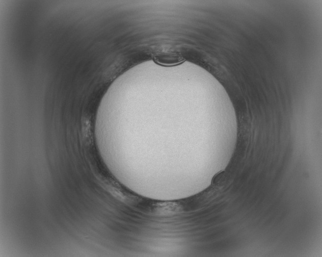 X0000063480087200602101817
