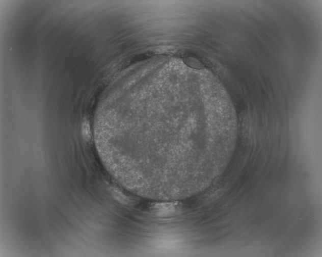 X0000063480089200602101817