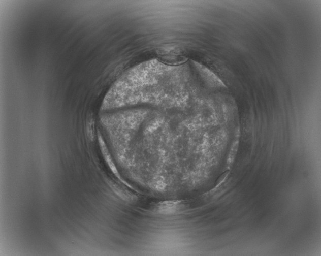 X0000063480090200602101817