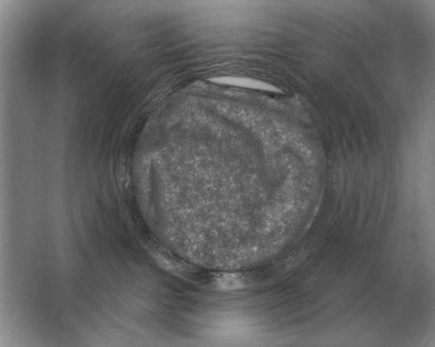 X0000063480091200602101817