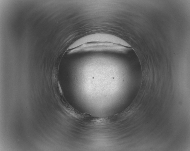 X0000063480092200602101818