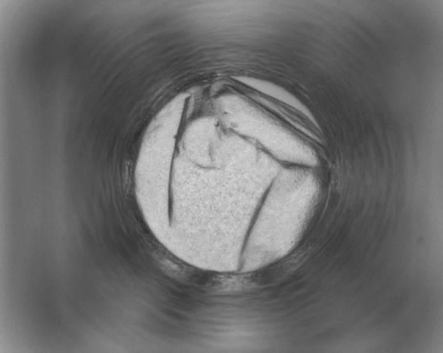 X0000063480093200602101818