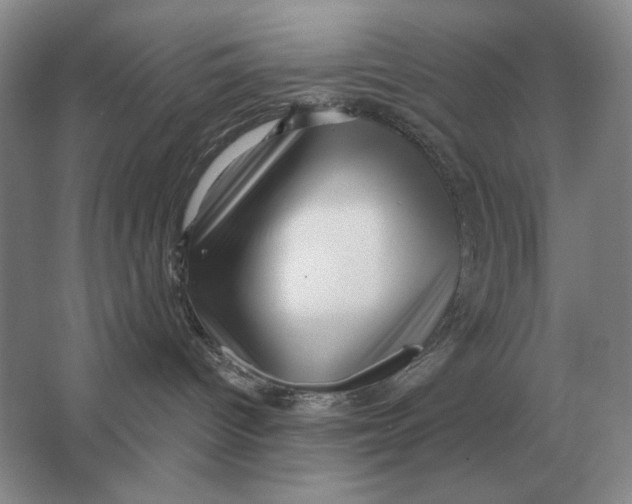 X0000063480096200602101818