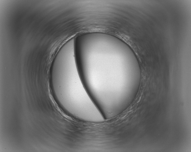 X0000063480097200602101817