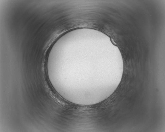 X0000063480098200602101817