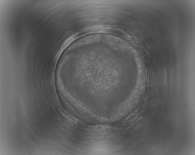 X0000063480099200602101817