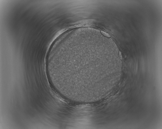 X0000063480100200602101817