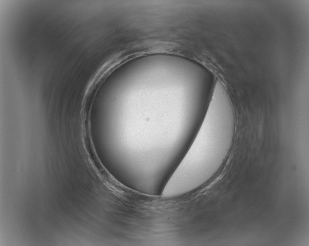 X0000063480101200602101817