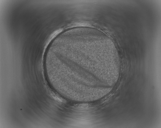 X0000063480104200602101817