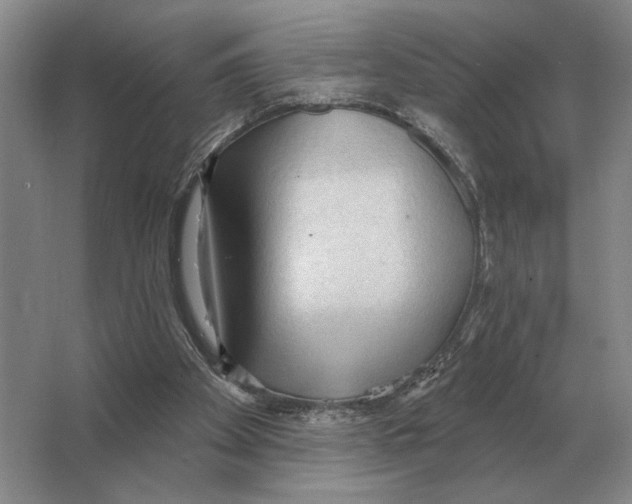 X0000063480105200602101817