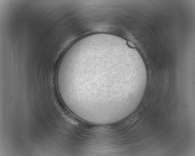 X0000063480106200602101817