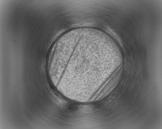 X0000063480107200602101817