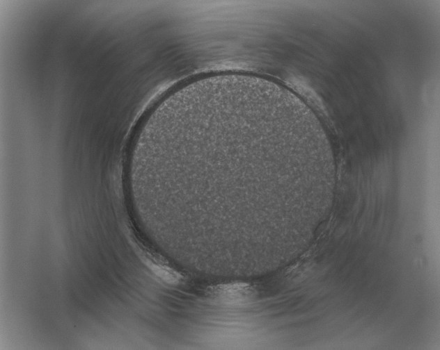 X0000063480108200602101817