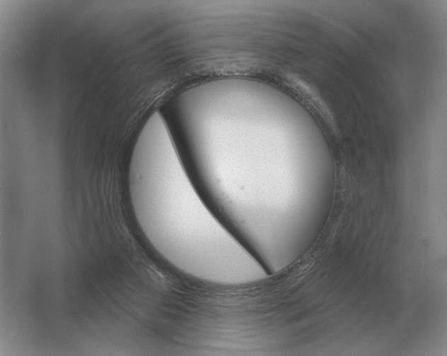 X0000063480113200602101816