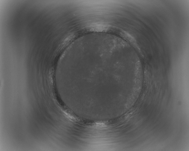 X0000063480114200602101816