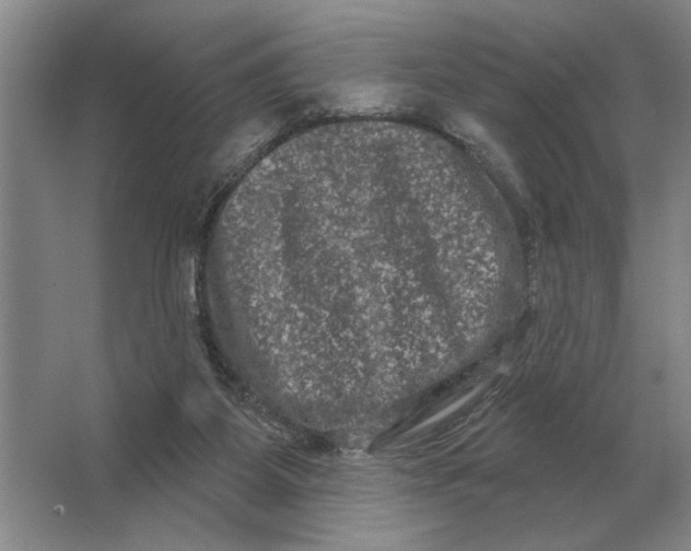 X0000063480115200602101816