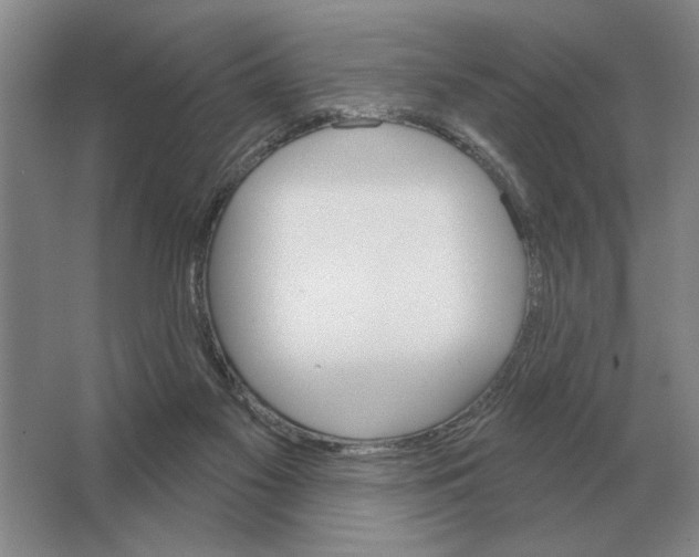 X0000063480117200602101816