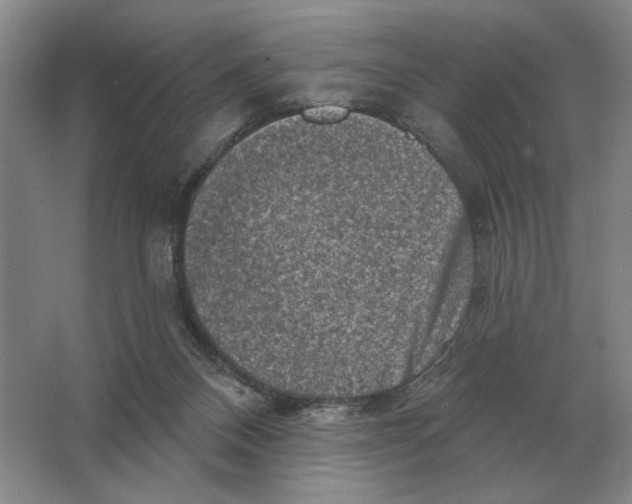 X0000063480120200602101816