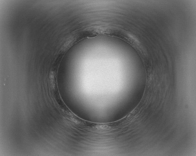 X0000063480121200602101816